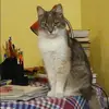 Отзыв от Василиса Пономарева